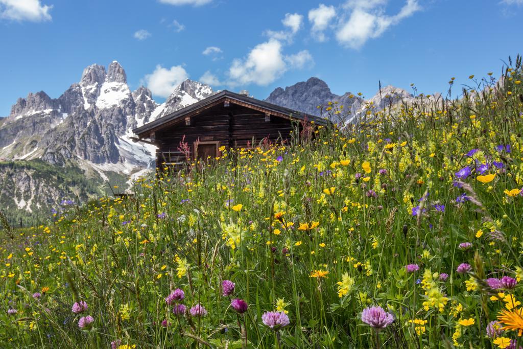 Das Gertraud Filzmoos Dış mekan fotoğraf