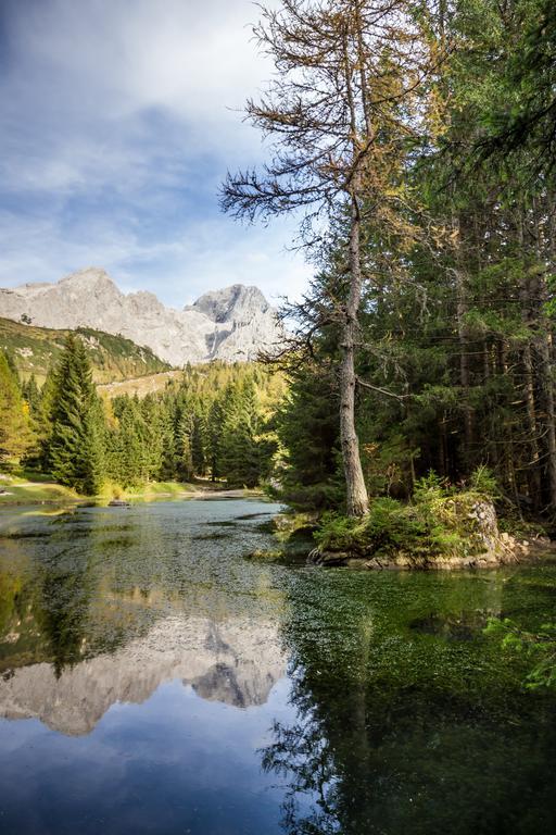 Das Gertraud Filzmoos Dış mekan fotoğraf